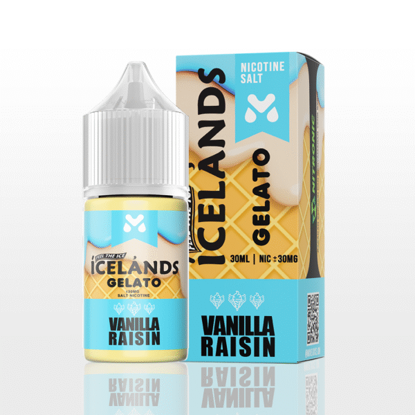 Icelands Gelato Vanilla Raisin